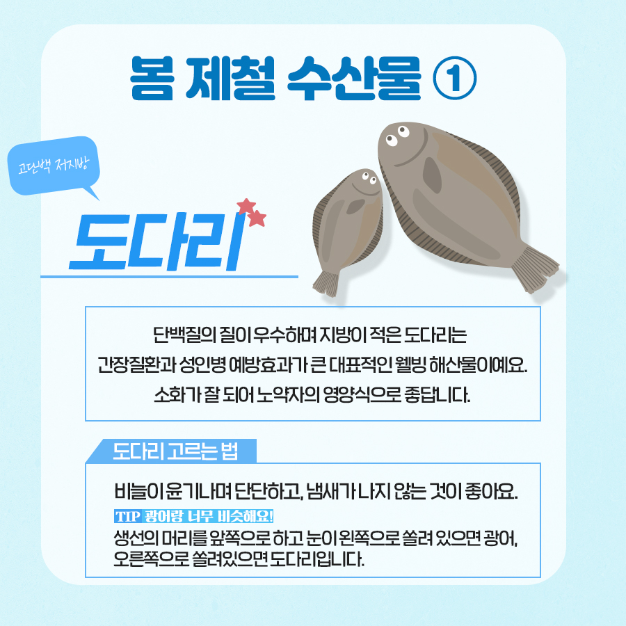 제철 나물과 해산물로 만드는 ‘제철밥상’ <봄>편