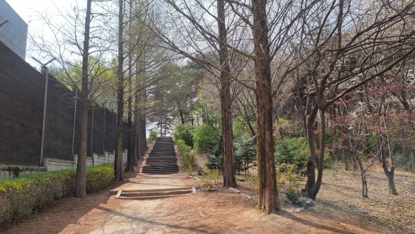 오늘날 식목일 행사는 지자체나 환경단체 단위로 나무를 심는 경우가 많고, 가정이나 학교에서는 나무에 관한 의미를 생각하는 날로 보내는 경우가 많다.