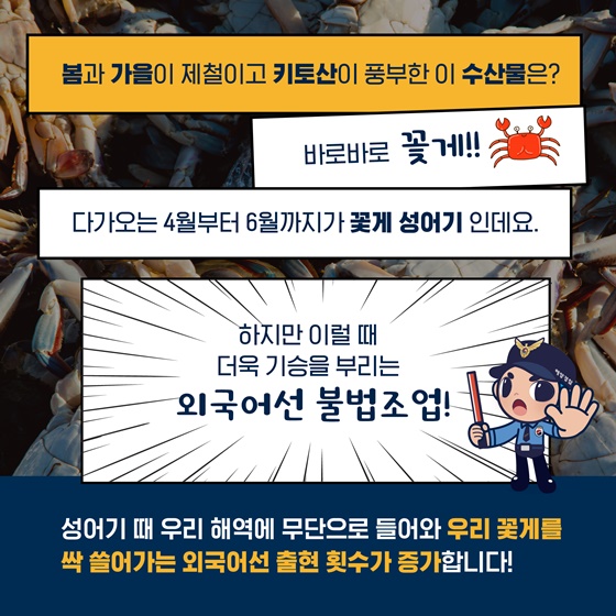 우리 꽃게! 절대사수!