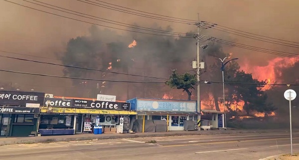 지난 4월 11일 오전 강원도 강릉시 난곡동 한 야산에서 산불이 발생해 검은 연기가 피어오르고 있다.(사진=저작권자(c) 뉴스1, 소방청 제공, 무단 전재-재배포 금지)