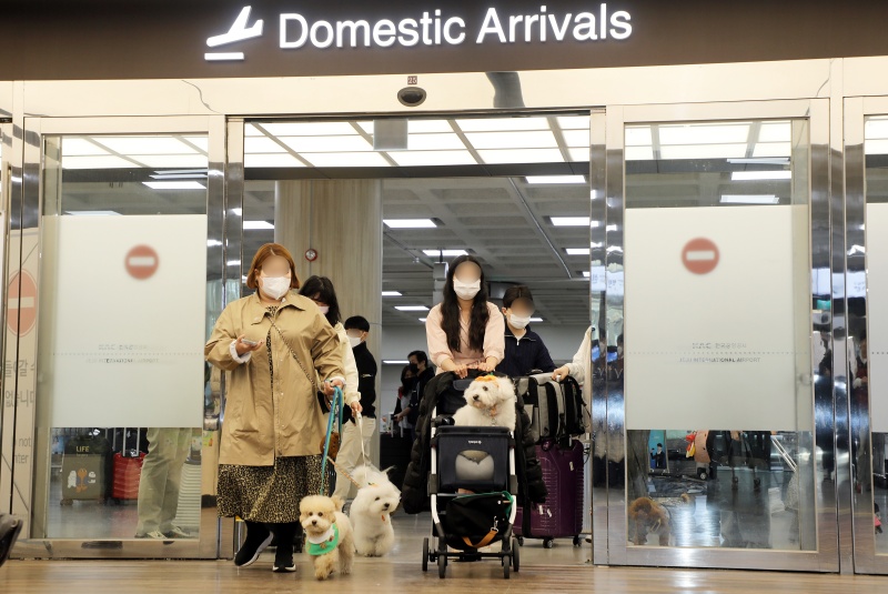 16일 오전 제주국제공항 국내선 청사에서 국내 최초로 운항한 반려견 동반 전세기 탑승객들이 내리고 있다. 한국관광공사와 반려동물 여행플랫폼 ‘반려생활’, 소형항공사 ‘하이에어’가 출시한 반려동물 동반 전세기 상품은 김포와 제주를 왕복하는 2박3일 일정으로, 연말까지 월 1회씩 총 10회 운영한다.(사진=저작권자(c) 뉴스1, 무단 전재-재배포 금지)