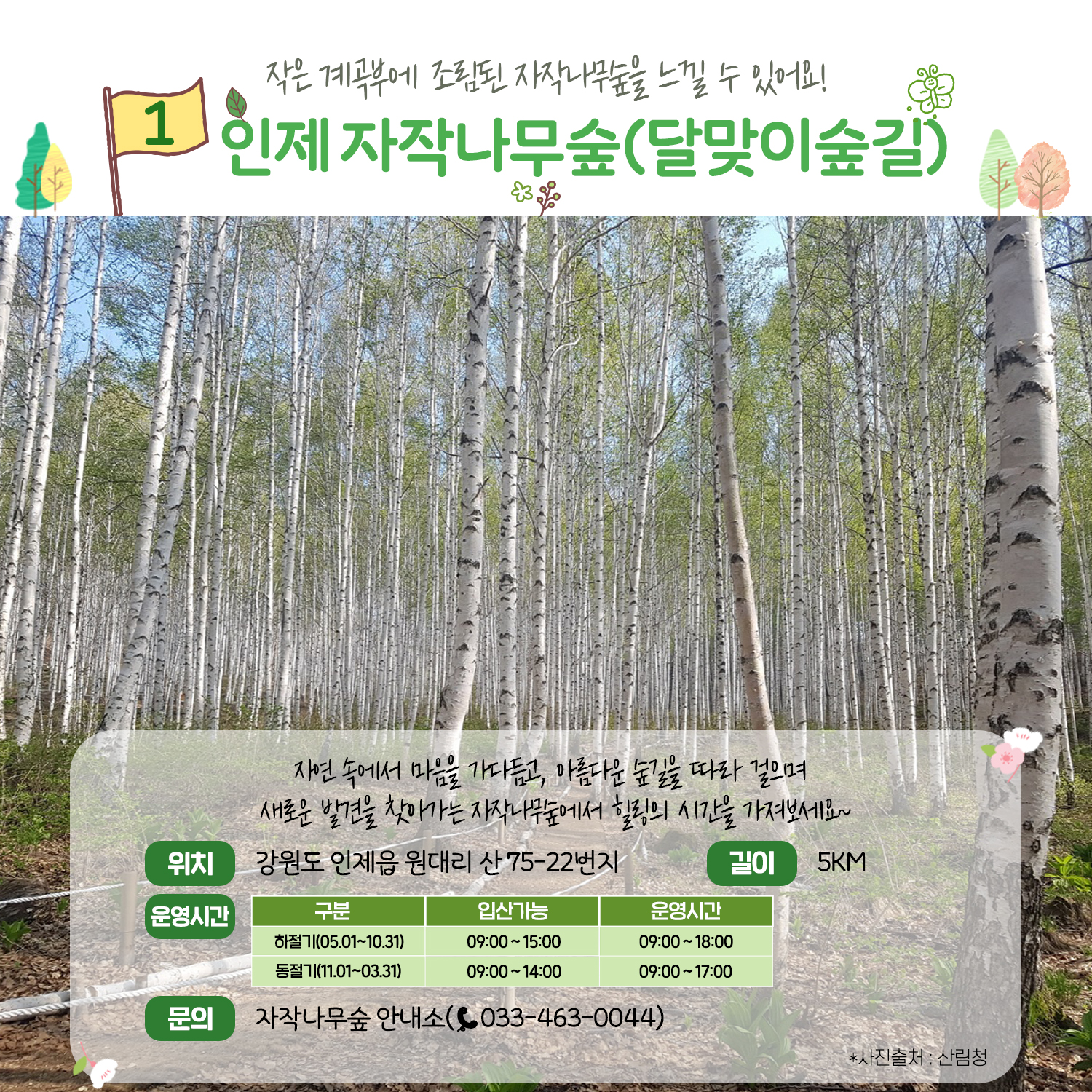 가족과 함께 걷기 좋은 ‘숲길’ 추천 4