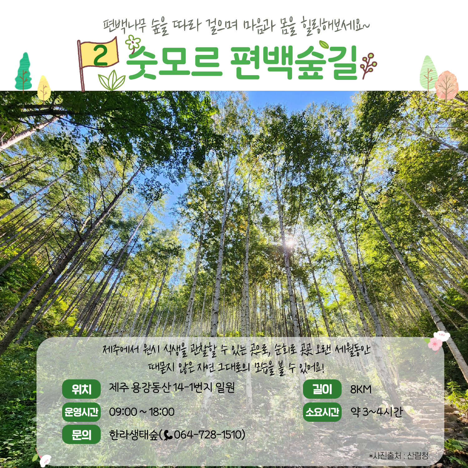 가족과 함께 걷기 좋은 ‘숲길’ 추천 4