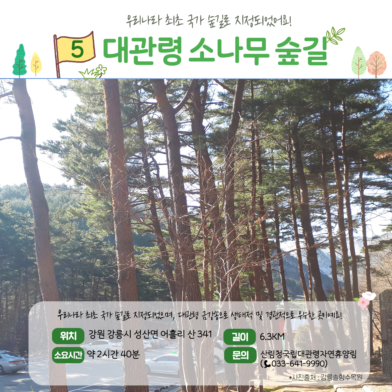 가족과 함께 걷기 좋은 ‘숲길’ 추천 4