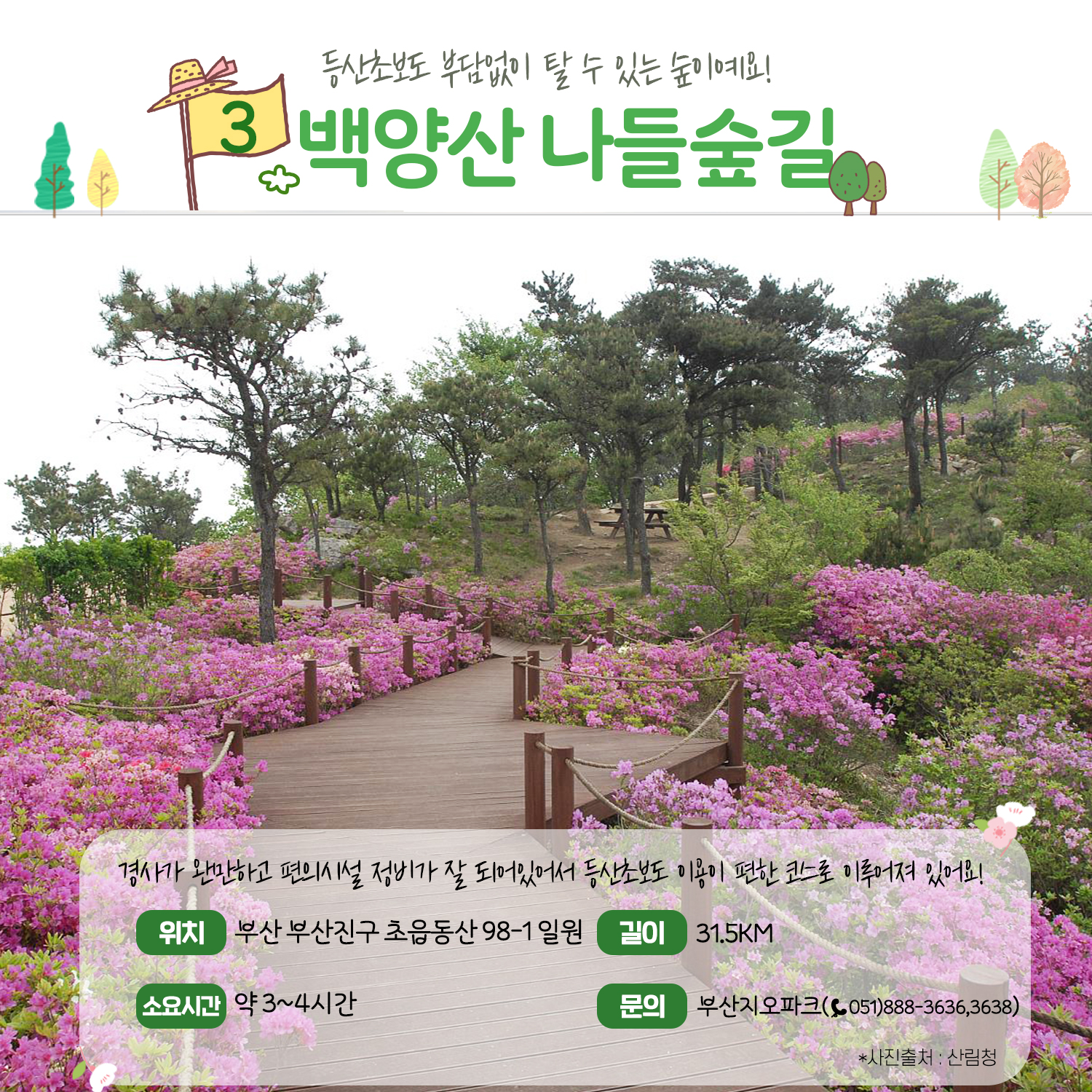 가족과 함께 걷기 좋은 ‘숲길’ 추천 4