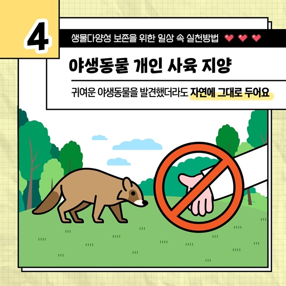 생물다양성 보존을 위한 일상 속 실천방법