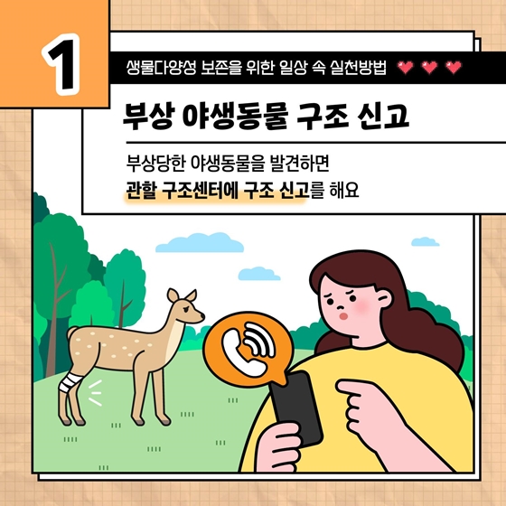 생물다양성 보존을 위한 일상 속 실천방법