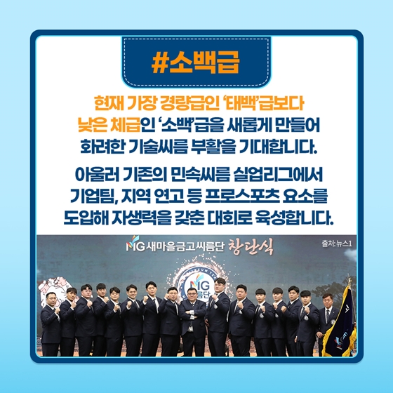 [열쇠말로 알아보는 정책] K-씨름 진흥방안