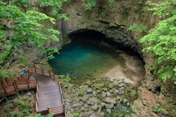 푸른 숲속의 비둘기낭 폭포