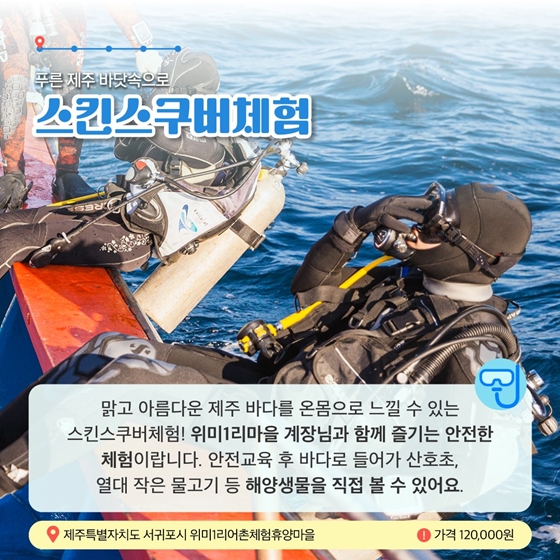 6월에 가기 좋은 어촌 안심 여행지 ① 제주도 서귀포시 위미1리마을