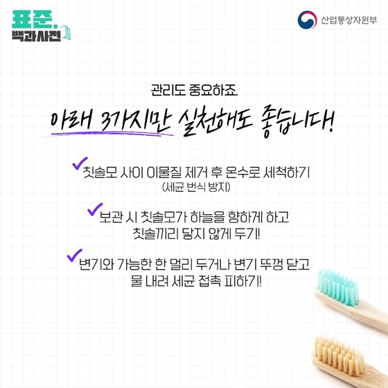 [표준 백과사전] 더 건강한 치아를 위해 칫솔 잘고르고 관리하는 법!
