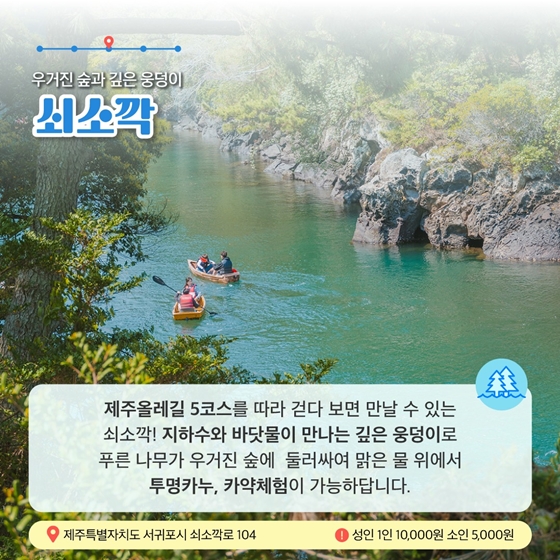 6월에 가기 좋은 어촌 안심 여행지 ① 제주도 서귀포시 위미1리마을