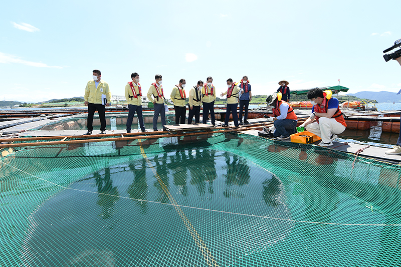 조승환 해양수산부 장관이 지난해 8월 5일 여수시 가막만에 위치한 해상 어류가두리 양식장을 찾아 현장 점검을 진행하고 있다. (사진=해양수산부)