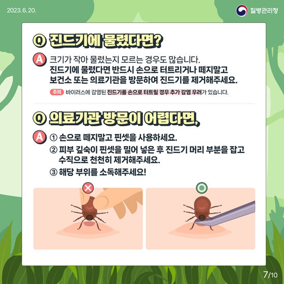 지금 우리가 알아야 하는 감염병 <진드기 매개 감염병 편>