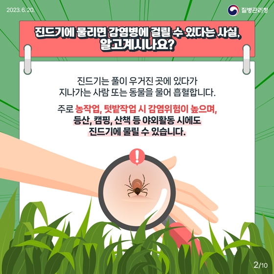 지금 우리가 알아야 하는 감염병 <진드기 매개 감염병 편>