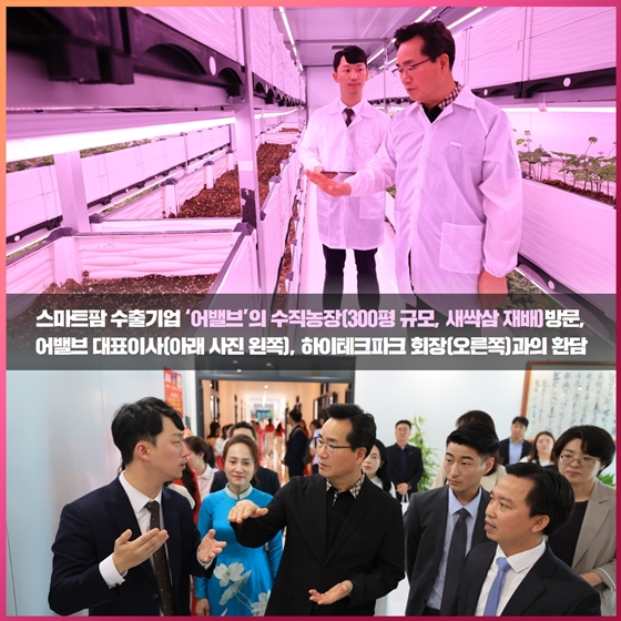 베트남에서 케이푸드(K-Food) 매력을 알리다!