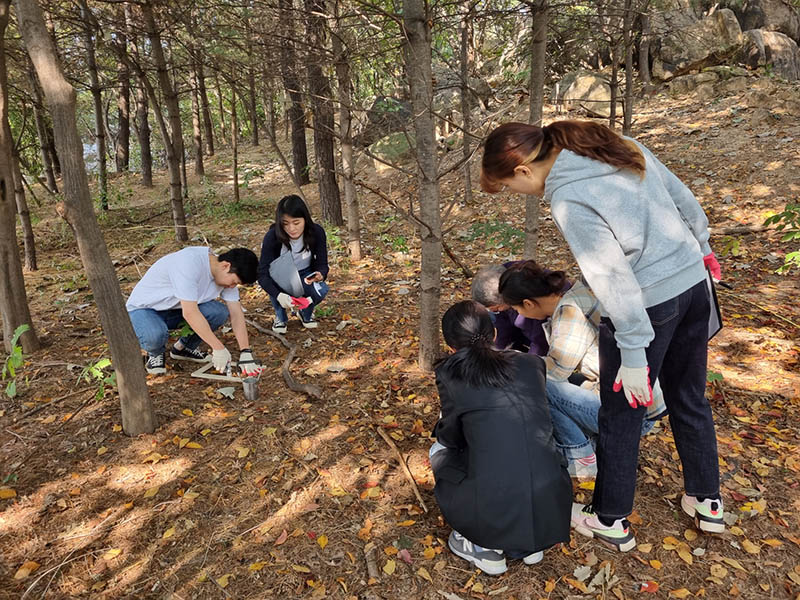 탄소흡수원 특성화 대학원 야외실습 현장. (사진=산림청)