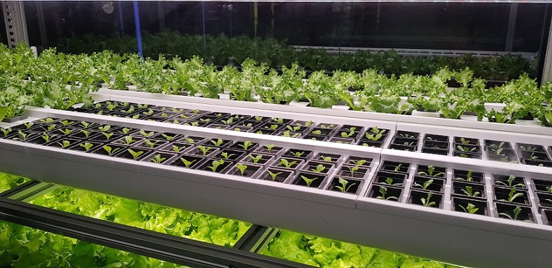 박람회에 출품된 스마트팜 기술