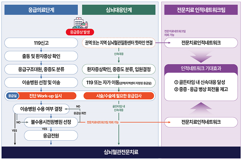 Cardiocerebrovascular disease human network introduction