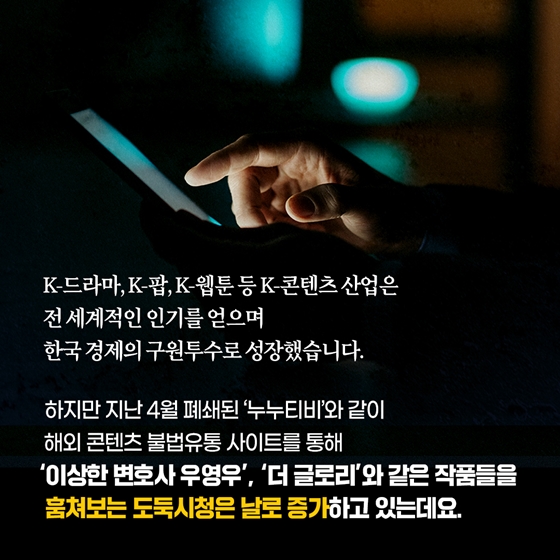 ‘제2의 누누티비’ 막는다!