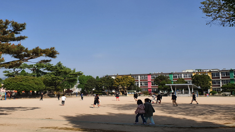 코로나19가 독감 등급으로 전환됨에 따라 공식적으로 완전한 일상회복을 맞이할 수 있어 마음이 조금은 안심된다.