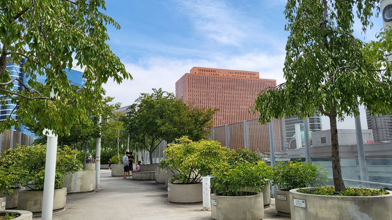 서울로 7017에 방문해보니, 자연과 도심이 자연스럽게 어우러져 있는 것을 볼 수 있었다.