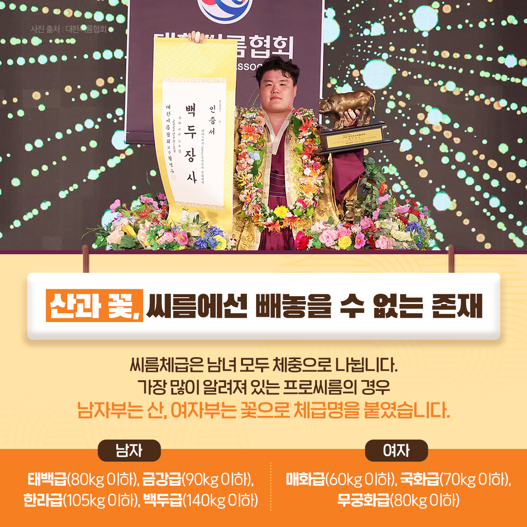 알고 보면 더 재미있는 ‘2023 추석장사씨름대회’