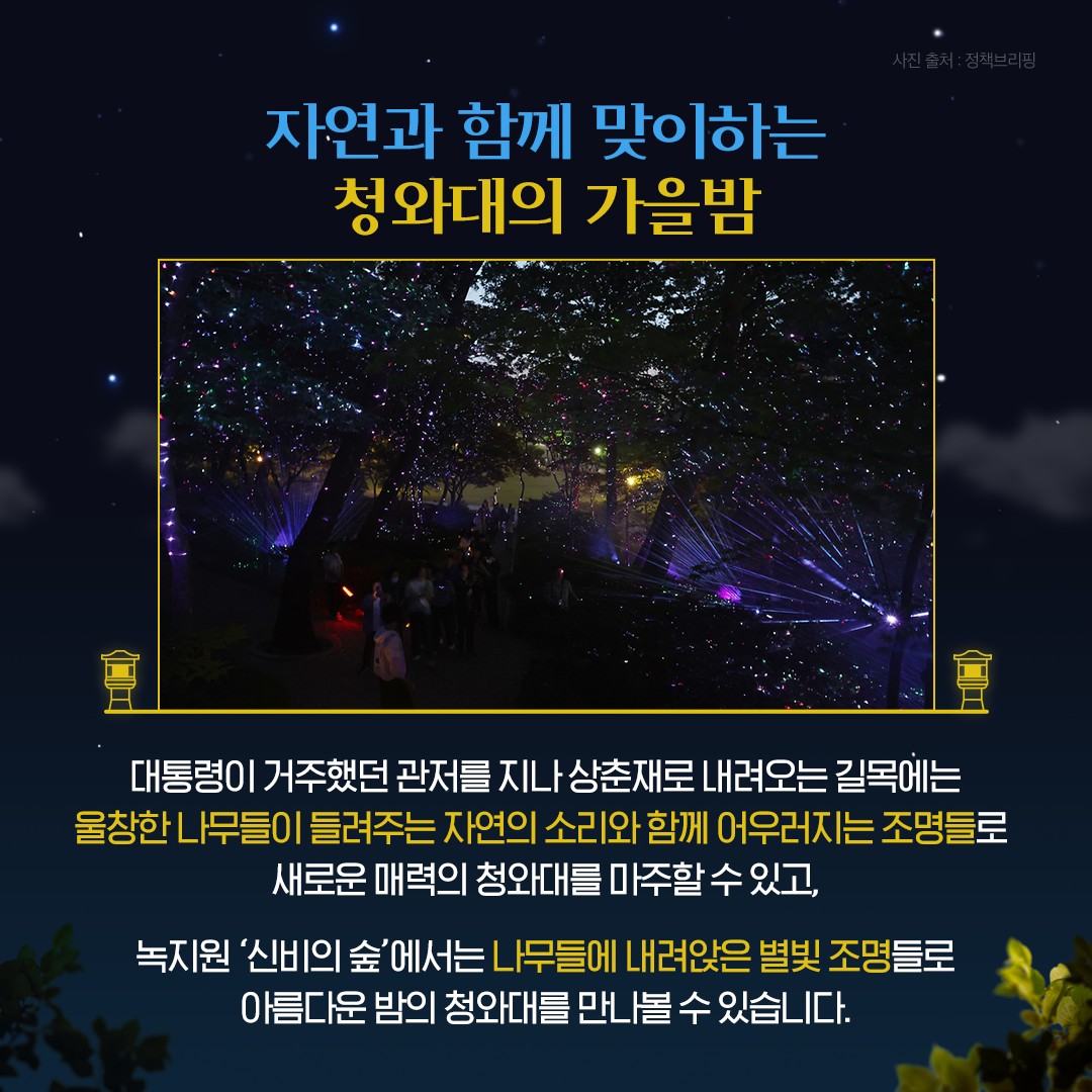 별빛 내려앉은 청와대, 가을밤 산책 즐겨요!