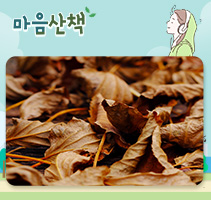 마음산책