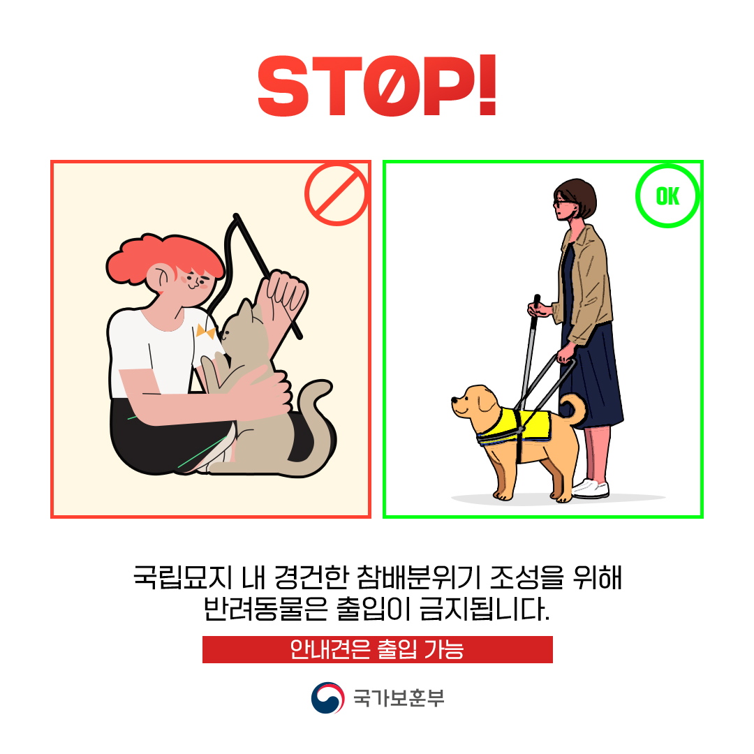 국립묘지에서 이런 행동은 STOP!