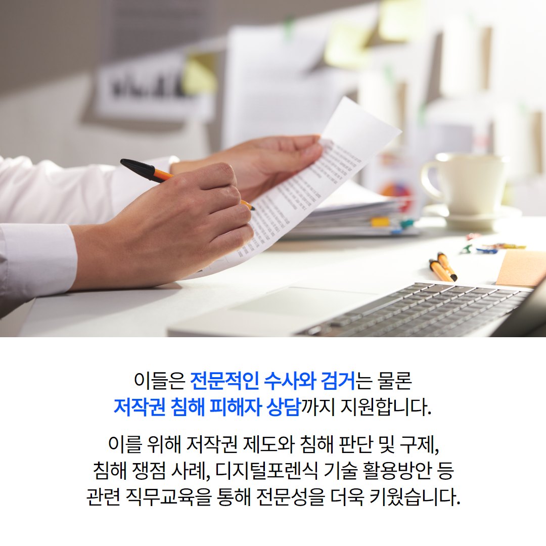 ‘밤토끼’ 잡는 전문 경찰이 있다?