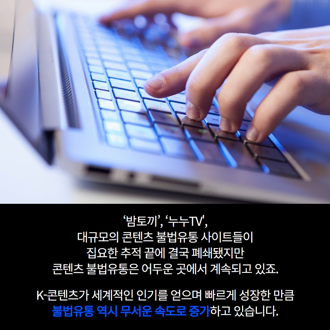 ‘밤토끼’ 잡는 전문 경찰이 있다?