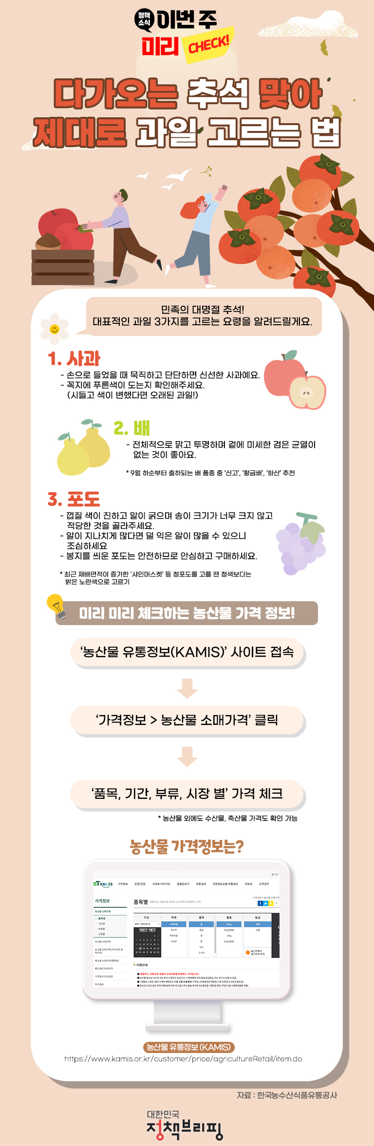 다가오는 추석 맞아 제대로 과일 고르는 법 하단내용 참조