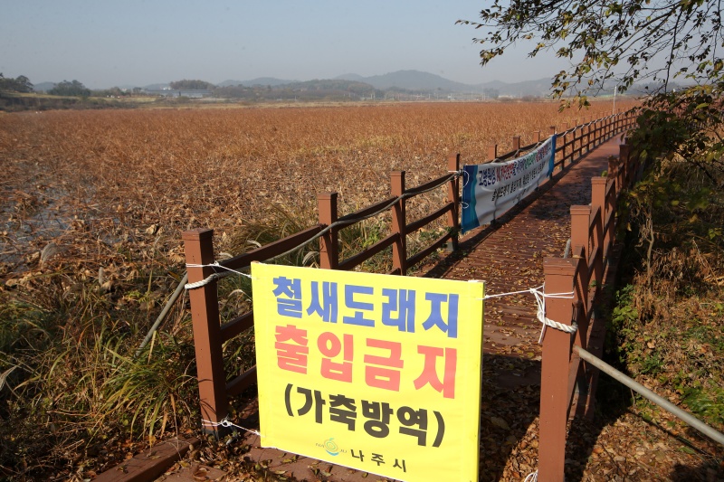 겨울철 가축전염병 방역관리 강화한다