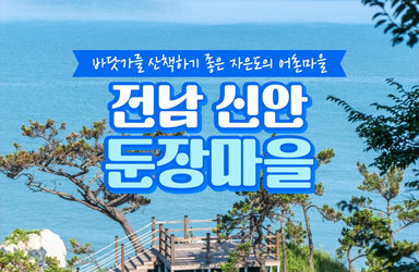 신안P&D 이미지