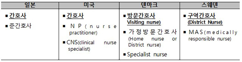 주요 외국의 방문형 간호서비스 제공인력