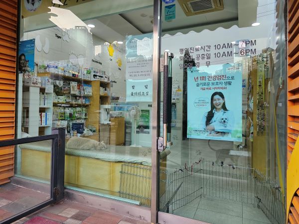 집에서 가까운 한 동물병원. 최근 반려동물 가구가 증가하며 반려동물 병원도 많이 늘어난 것 같다.