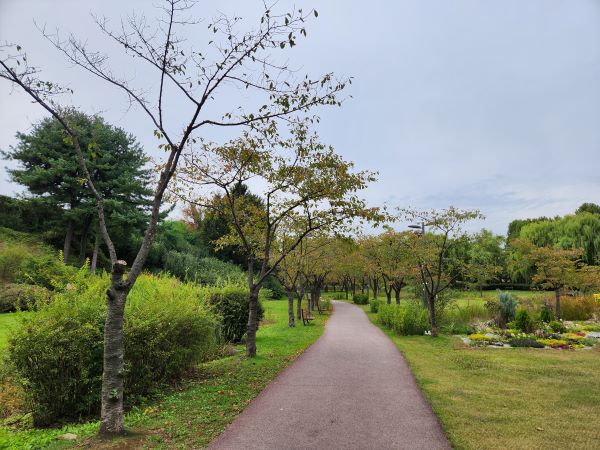 주한미군사령부의 골프장이었던 용산가족공원은 무장애 산책로가 잘 조성되어서 누구든 편하게 이용할 수 있다.
