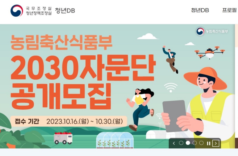 2030자문단 모집 공고.(출처=청년DB 누리집)