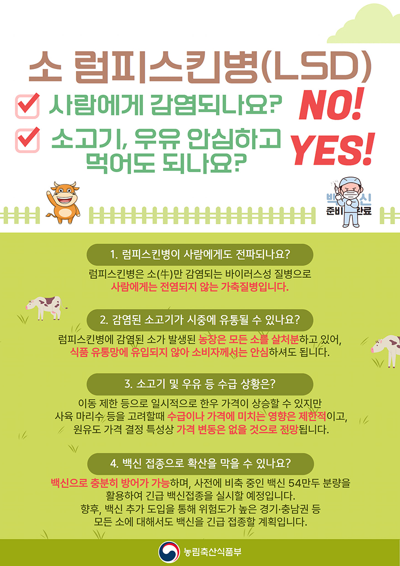 소 럼피스킨병(LSD), 사람에게 감염되지 않습니다 하단내용 참조