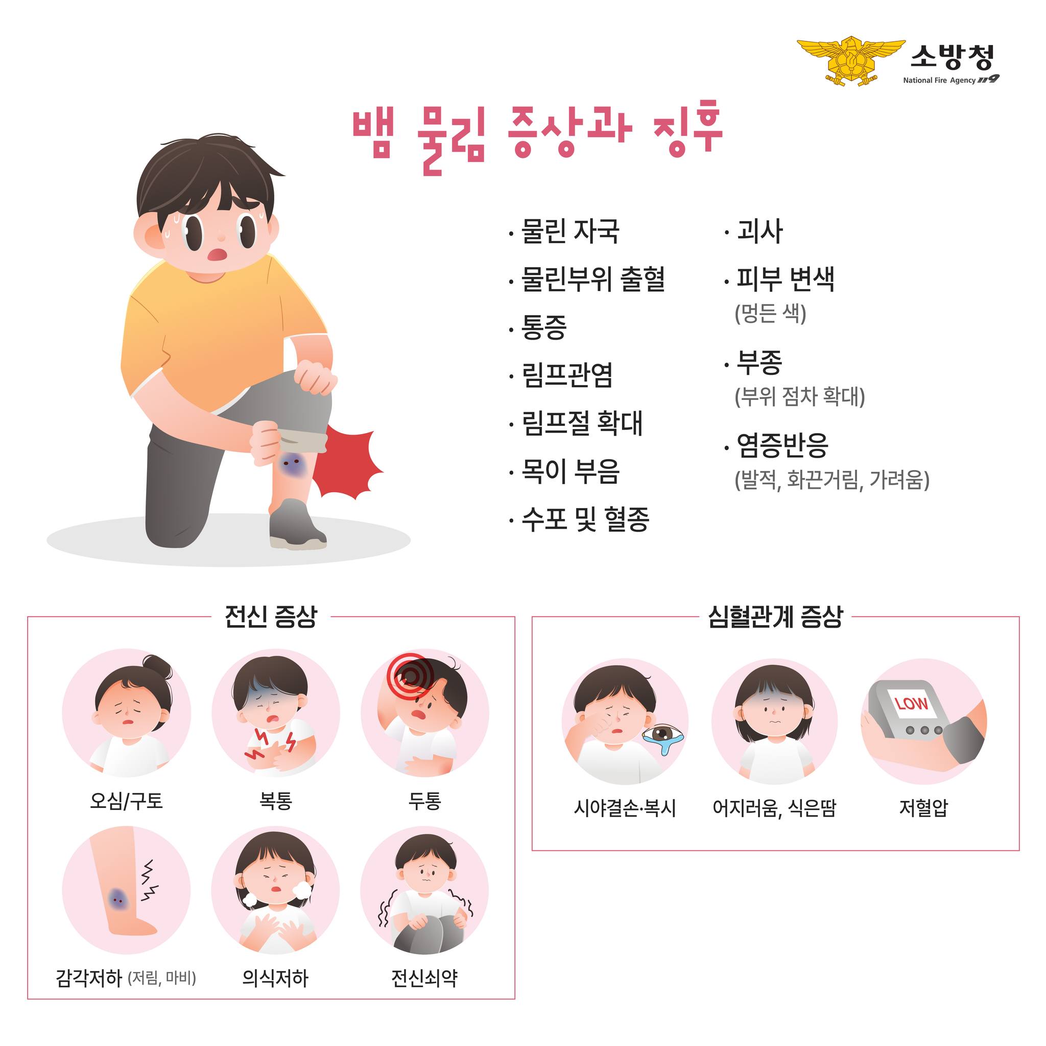 뱀물림 사고 안전상식