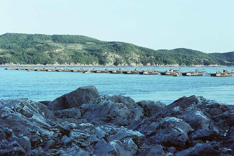 중선배 10여 척이 조업을 했던 모도와 시도 사이 바다(1982년, 옹진군청제공).