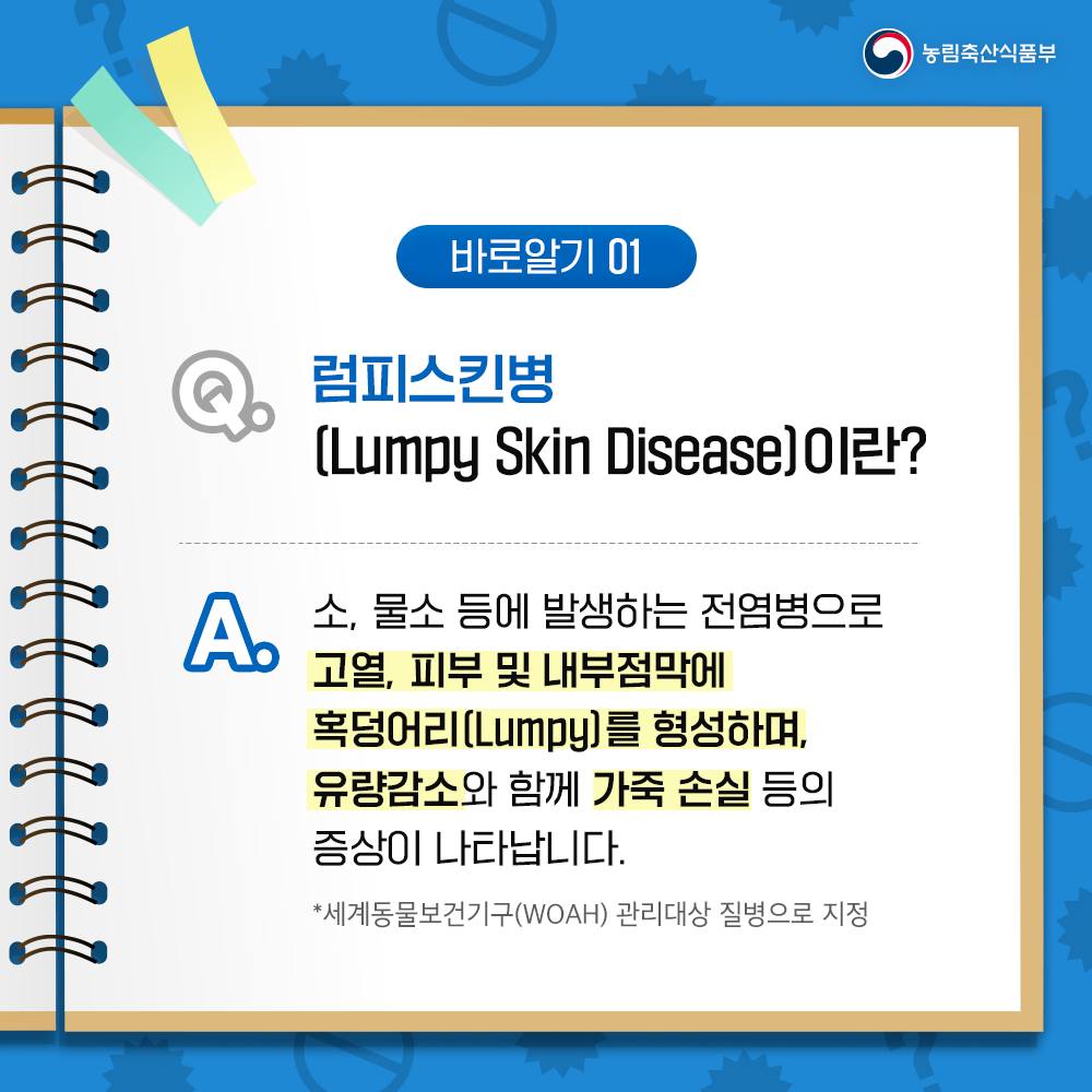 소 럼피스킨병 바로알기
