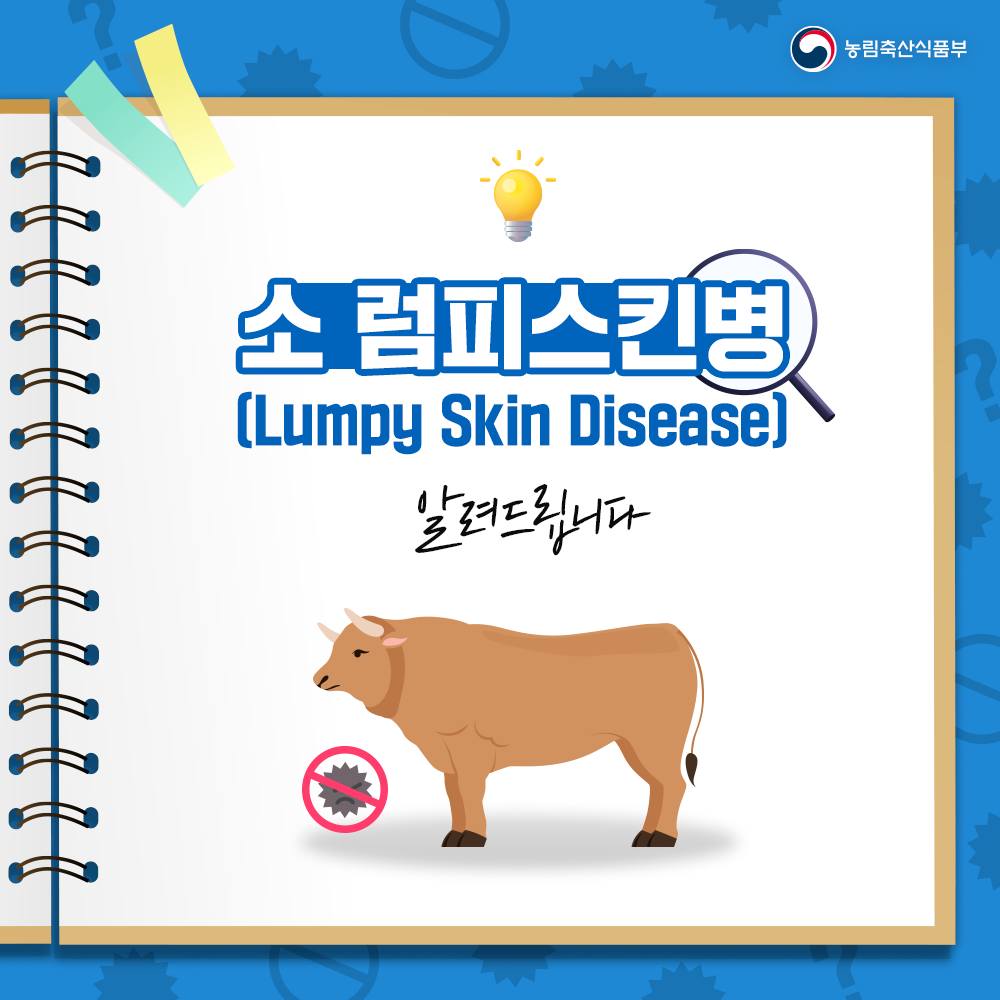 소 럼피스킨병 바로알기