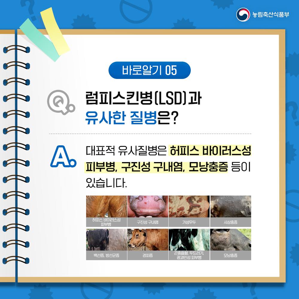 소 럼피스킨병 바로알기