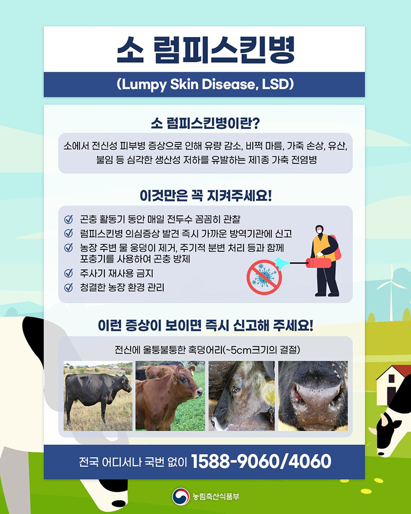 소 럼피스킨병 이것만은 꼭 지켜주세요! 하단내용 참조