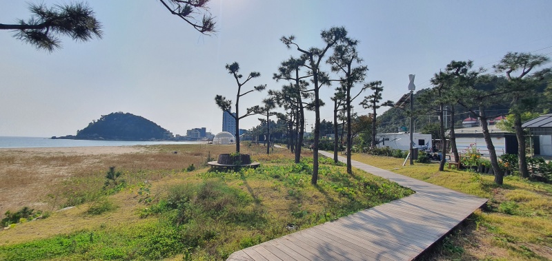 출근길만으로도 힐링하는 기분