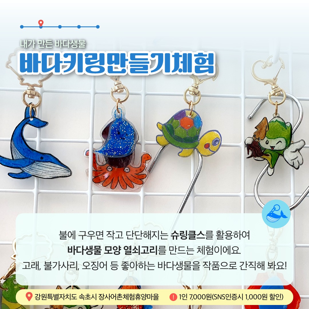 11월에 가기 좋은 어촌 안심 여행지 ②강원 속초 장사어촌체험휴양마을