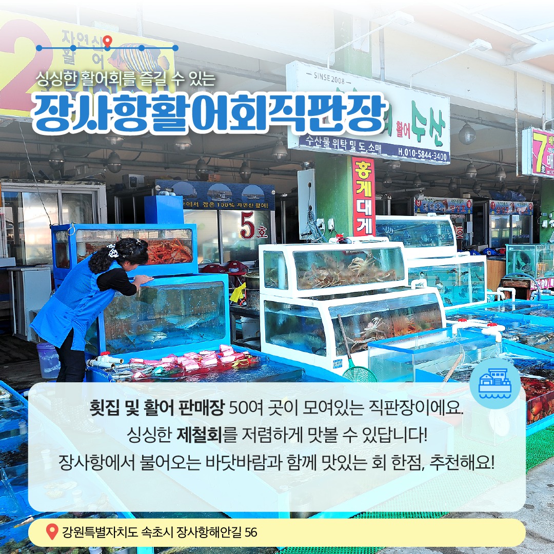 11월에 가기 좋은 어촌 안심 여행지 ②강원 속초 장사어촌체험휴양마을
