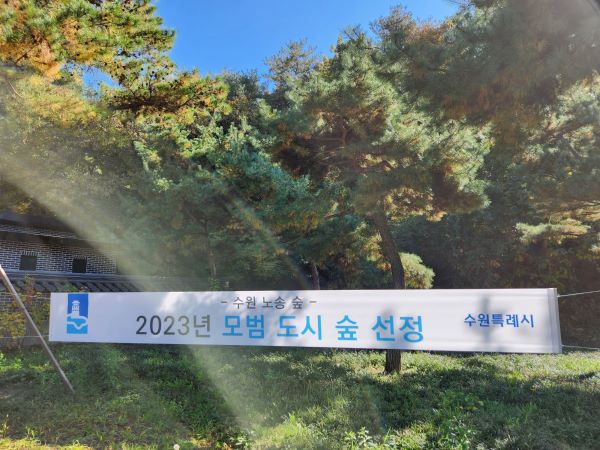 수원 노송공원 입구에 노송 숲이 '2023 모범도시숲'으로 선정되었다는 플래카드가 붙어 있다.